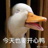 坚果