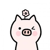 🐷