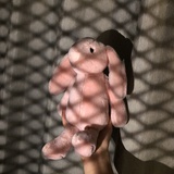 鞋盒子
