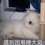 叮叮当当
