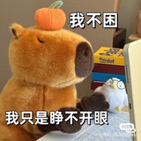 啦啦啦啦
