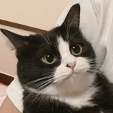 豆友217733514