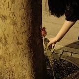玖叁肆柒