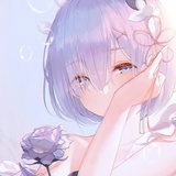 木瓜味的榴莲