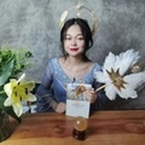 我的玛雅TAROT