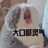 媛娇