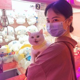 种树的猫