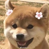 秋风白露