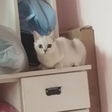 豆友217882825
