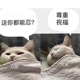 蓝莓巧克力豆