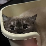 李知方