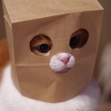 茄子杀手