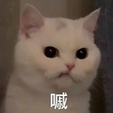全圆佑的酒瓶子