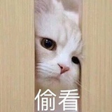 汤汤圆