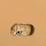 虾滑排第一