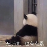 海绵宝宝