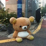 汤姆的棒仔牛奶