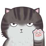 我与猫咪的日常