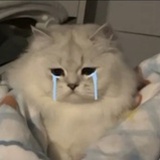 碎的镜子圆不了