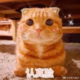 fanwang0