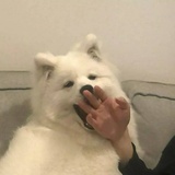 给你两锤子
