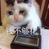花生花生花生碎