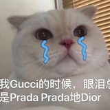 丧尸王