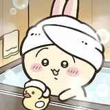 花辞鸢树serein
