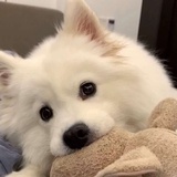 非专业养小孩