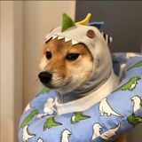 爱莫能助
