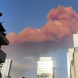 了不起的比尔