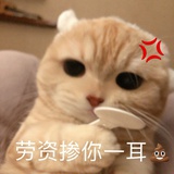 躺平ing