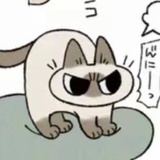 橙子洲