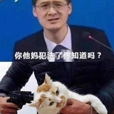 摘星