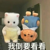 直上云霄0509
