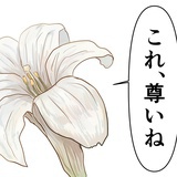 日行一骟养猫人