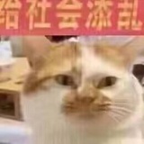 威尔逊的大胡子