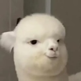 可爱多