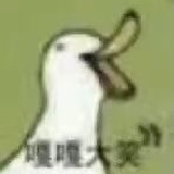 过期的候鸟-