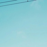 湛如雅集