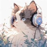 君翩跹