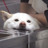 过冬