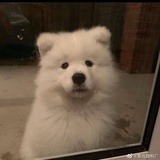 因為所以俺來了