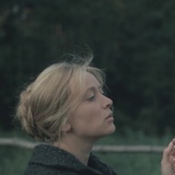 等石头开花