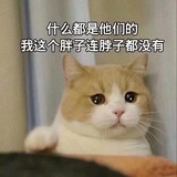 芝芝桃桃