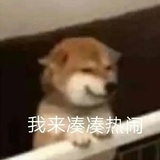 夺笋呐