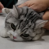 等云等你