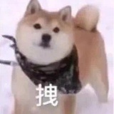 抗倭老将张星特