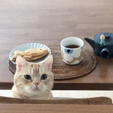 囍魚酱.