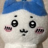 ハチワレ